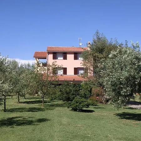Apartman Nature *