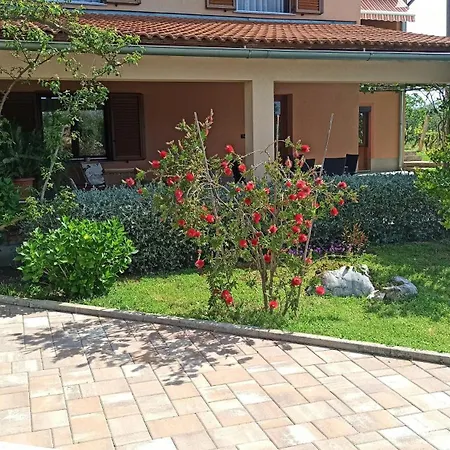 Apartman Nature